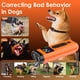 thumbnail image 5 of Disuasor de ladridos de perro ZUIBAS, ultrasónico, 20 m, rango 3 frecuencias, 5 of 7