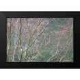 thumbnail image 2 of Mahan, Kathy 14x11 Black Modern Framed Museum Art Print Titled - Sparkling Raindrops I, 2 of 5