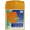 Top Flight Clasp Envelopes, Gummed and Clasp, 10 x 13, 15 Envelopes