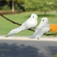 thumbnail image 4 of 12 piezas de pájaros de plumas artificiales Cola modelo de pájaros de amor blancos, 4 of 8