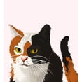 thumbnail image 2 of Conrad the Cat Detective The Cat Who Caught a Killer, Book 1, (Paperback), 2 of 2