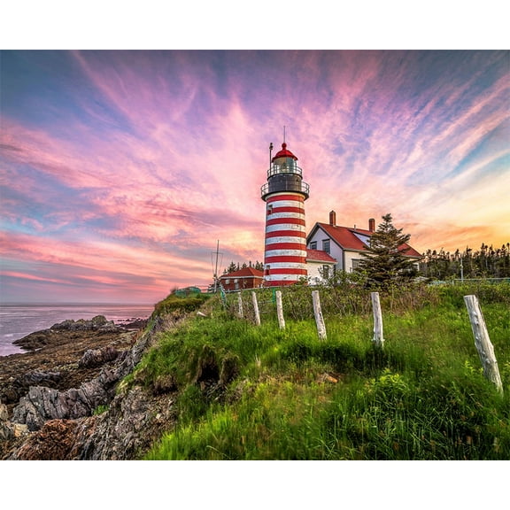 Springbok 1000 Piece West Quoddy Head Lighthouse Jigsaw Puzzle for Adults  - Made in USA