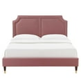 thumbnail image 4 of Modway Novi Performance Velvet Queen Bed in Dusty Rose, 4 of 9
