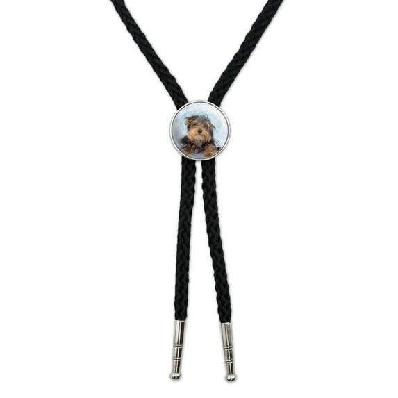 Yorkie Yorkshire Terrier Dog Resting With Blue Hat Western Southwest Cowboy Necktie Bow Bolo Tie
