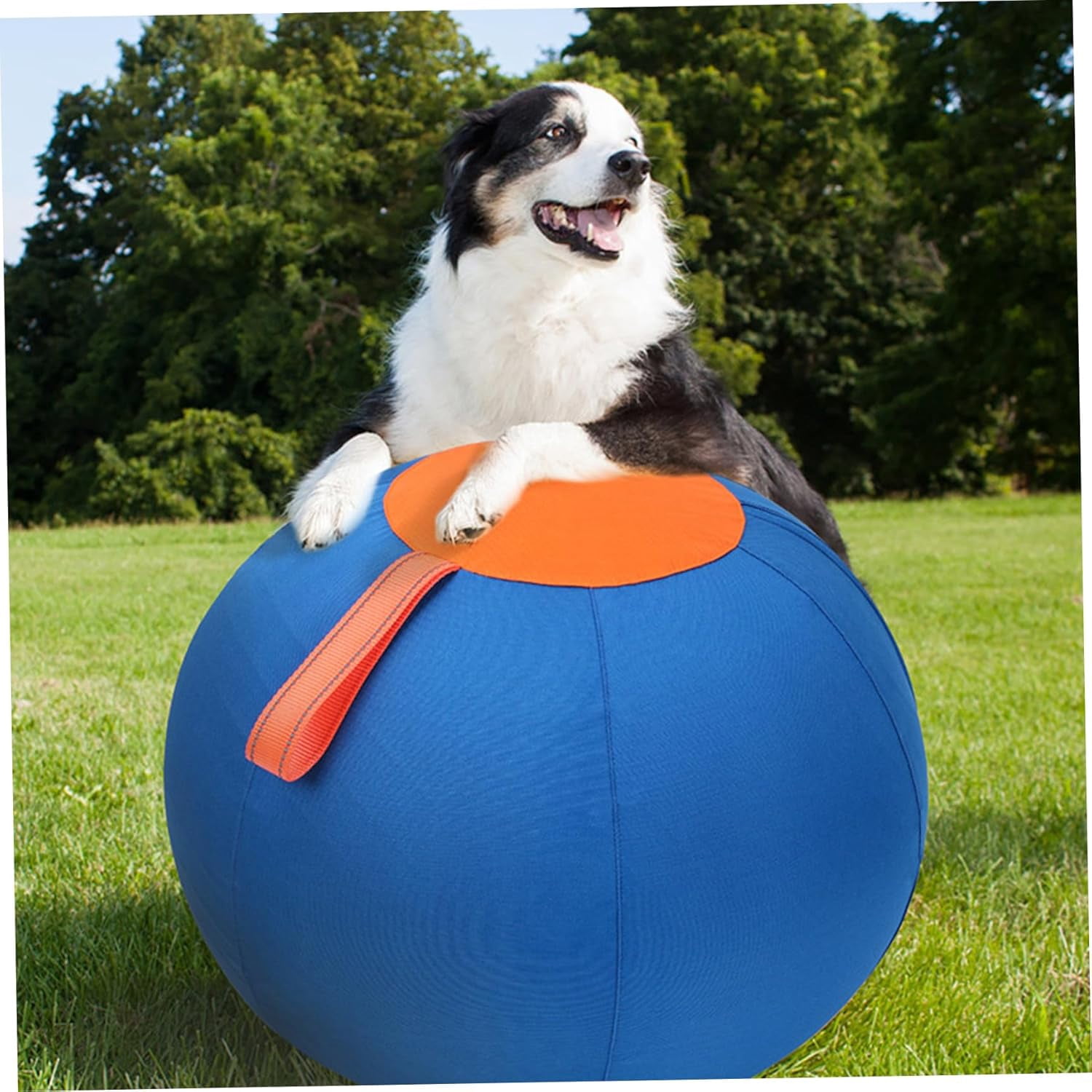 Extra Large Inflatable Dog Toy Ball, Durable Tear-Resistant Inflatable Big Ball with Handle Cover & Pump for Outdoor Play (inch)