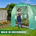 thumbnail image 2 of FDW Greenhouse for Outdoors Greenhouse Walk-in Green House L9.8'xW6.5'xH6.5' Plastic Mini Greenhouse Kit Indoor Portable Greenhouse Plant Shelves Tomato Herb Canopy for Patio,Green, 2 of 7
