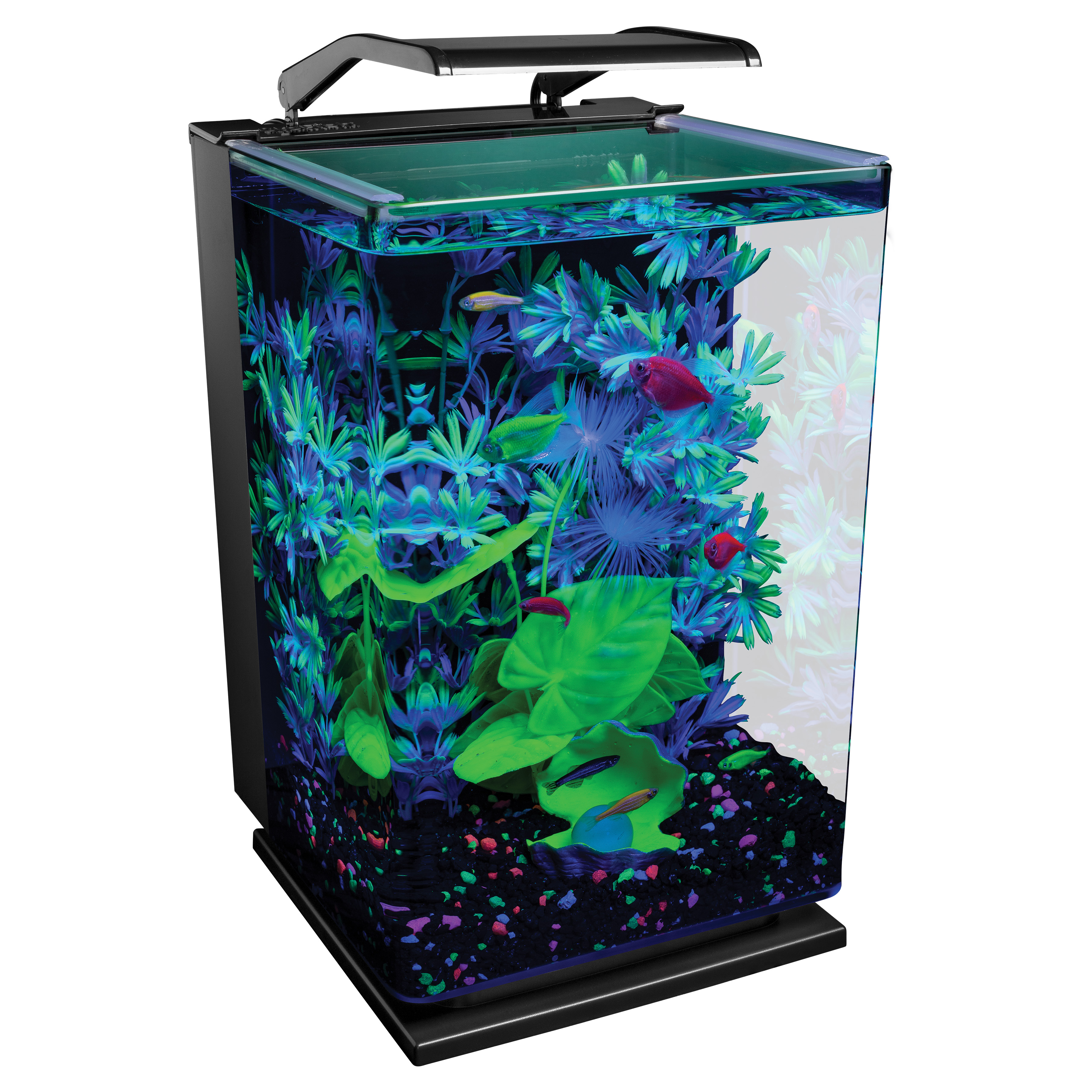 GloFish 5 Gallon Desktop Aquarium Kit with LED Light photo 1