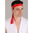 thumbnail image 2 of Adult Plus Size Street Fighter Ryu Costume, 2 of 7