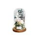 thumbnail image 5 of Matsuzay Decoración Bella y la bestia Adorno de cubierta Flor seca Regalo de boda de cumpleaños de San Valentín, Decoración de flores. Type3 NO3, 5 of 6