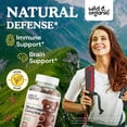 thumbnail image 2 of Wild & Organic Mushroom Gummies - Lion's Mane, Cordyceps, Turkey Tail, Reishi, Chaga, Maitake - 10-in-1 Complex - Mushroom Supplement Gummies for Immune & Brain Support - 60 Count, 2 of 4