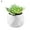 8#, variant on Easy to Maintain Artificial Potted White Ceramic Potted Mini Modern Decoration Artificial Succulent Potted for Home