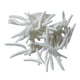 thumbnail image 5 of Juguetes de broma de gusanos falsos Macarena 100 Uds, 5 of 8