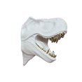 thumbnail image 4 of Dinosaur Head Sculpture White Color Wall Mounted Ornament, 4 of 5