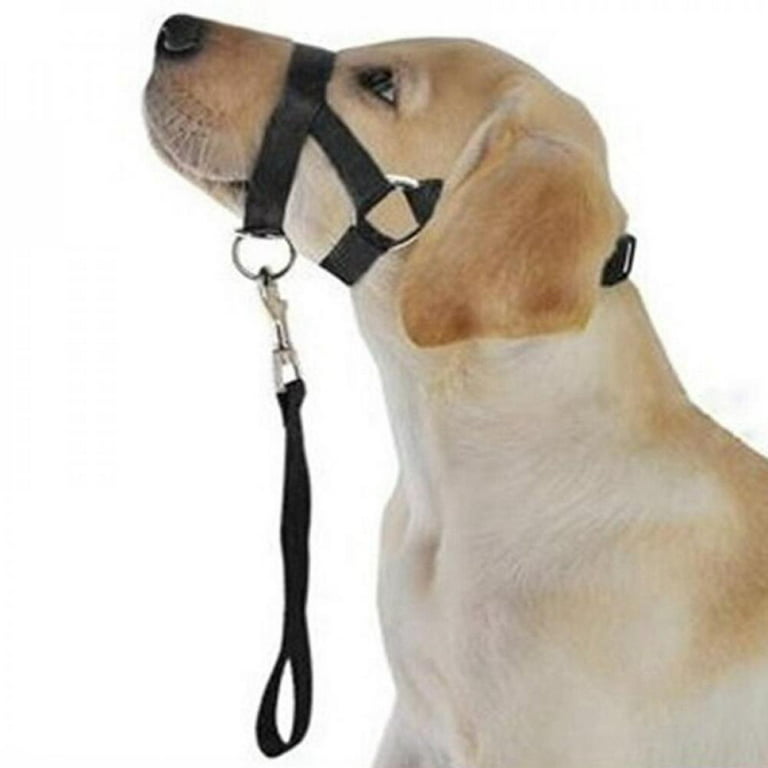 Pet Explosion-proof Pet Training Mouth Rope Dog Leash Traction Rope Hyena  Rope Collars Chest Strap Harnesses