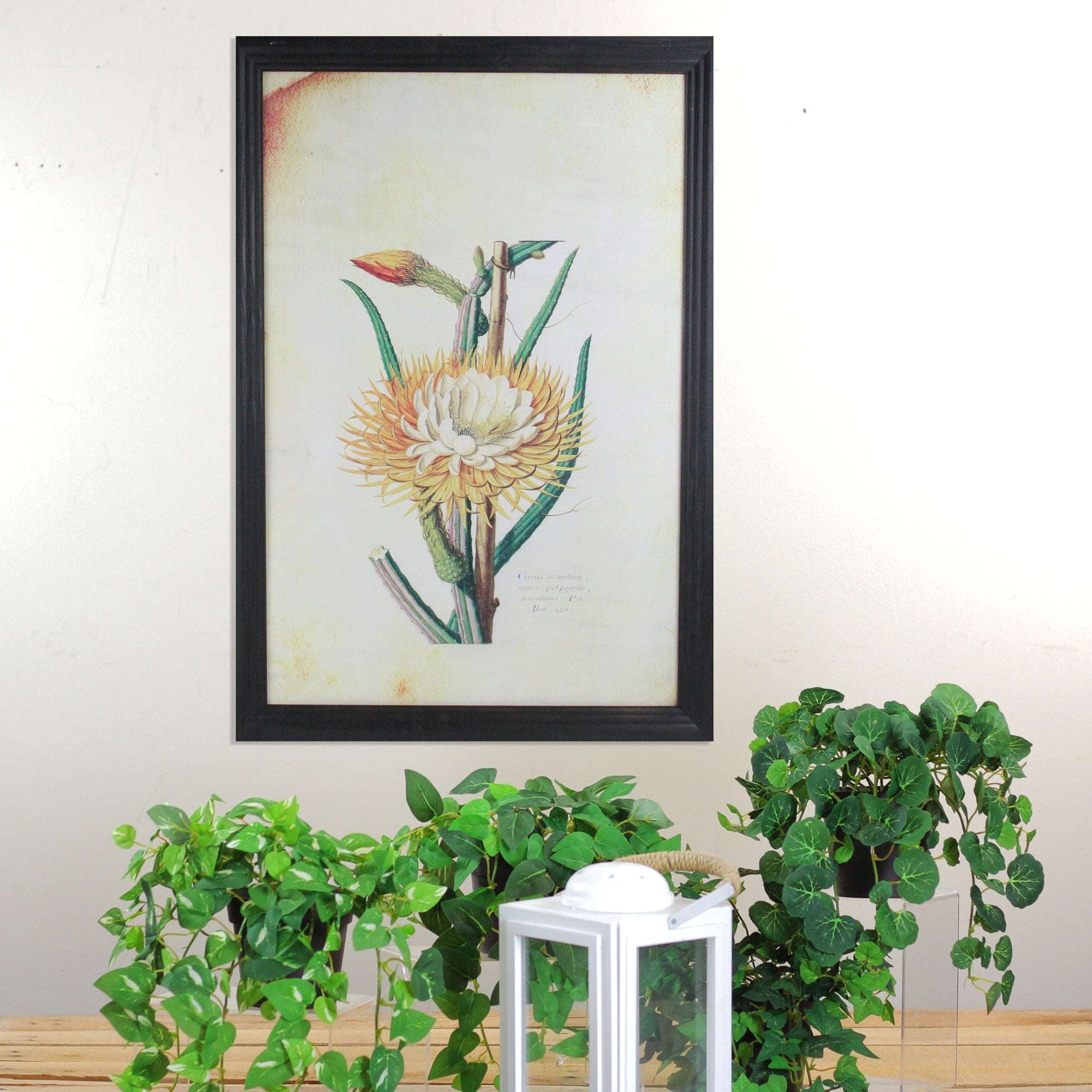 26" Yellow and Green Desert Baileya Flower with Black Photo Frame