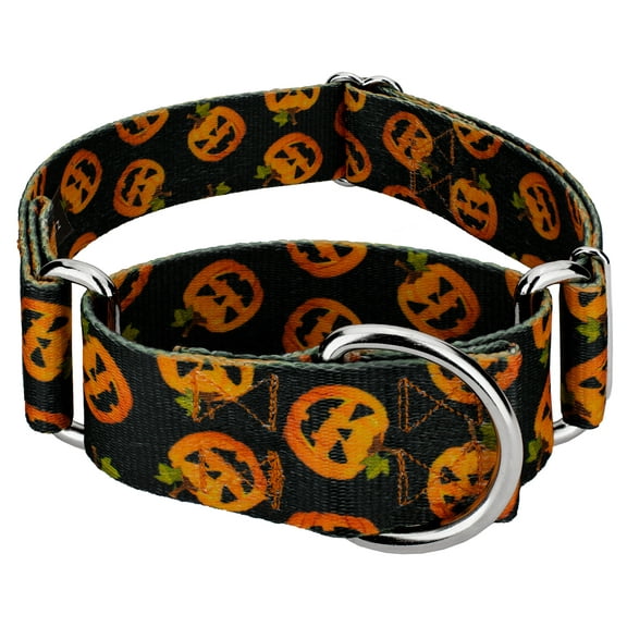 Country Brook Petz® 1 1/2 inch Happy Jack Martingale Dog Collar, Extra Large
