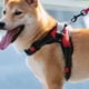 thumbnail image 5 of Arnés para perros, arnés para mascotas sin tirones, chaleco reflectante ajustable para mascotas al aire libre para perros, 5 of 5
