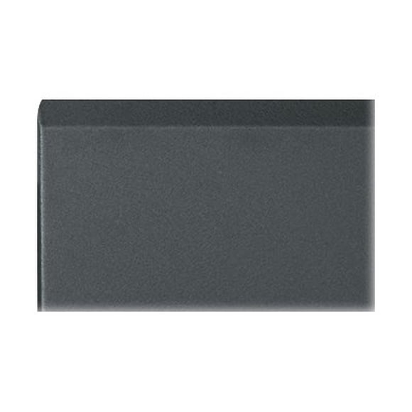 Middle Atlantic FD 10 - Rack door - front - black - 10U