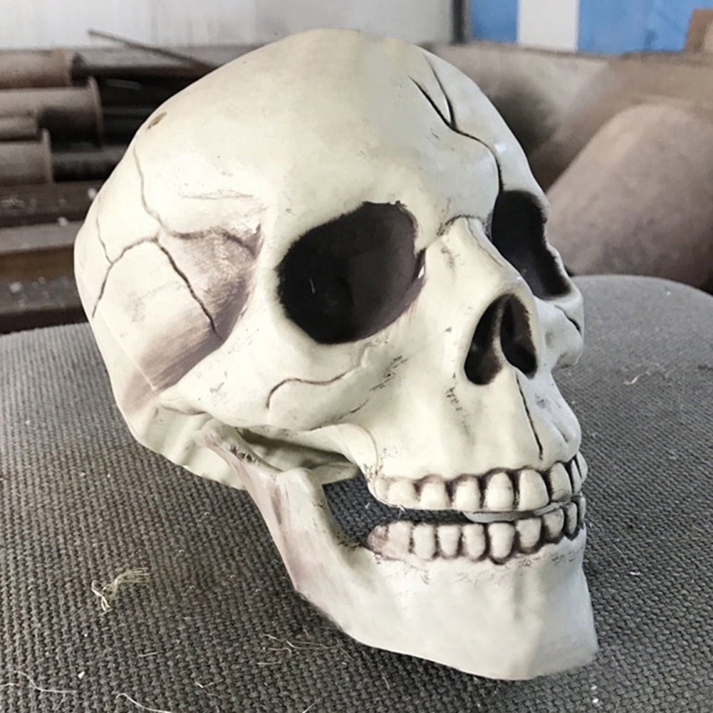Life Size Human Realistic Skull Head Resin Halloween Haunt Stage Prop Decoration 
