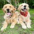 thumbnail image 4 of Dog Bandanas - 6 Pack Black & Pink Halloween Ghost Spider Pet Scarf, Soft & Comfortable Polyester Fabric, for Small, Large & Extra Large Dogs & Cats, 4 of 6