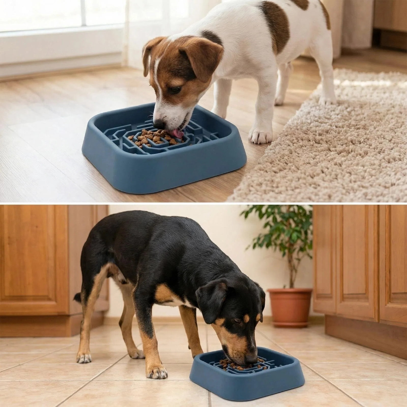 Slow Feeder Dog Bowls, Interactive Silicone Dog Feeding Bowls for Dogs & Cats, Slow Feeder Non-Slip with Suction Cups