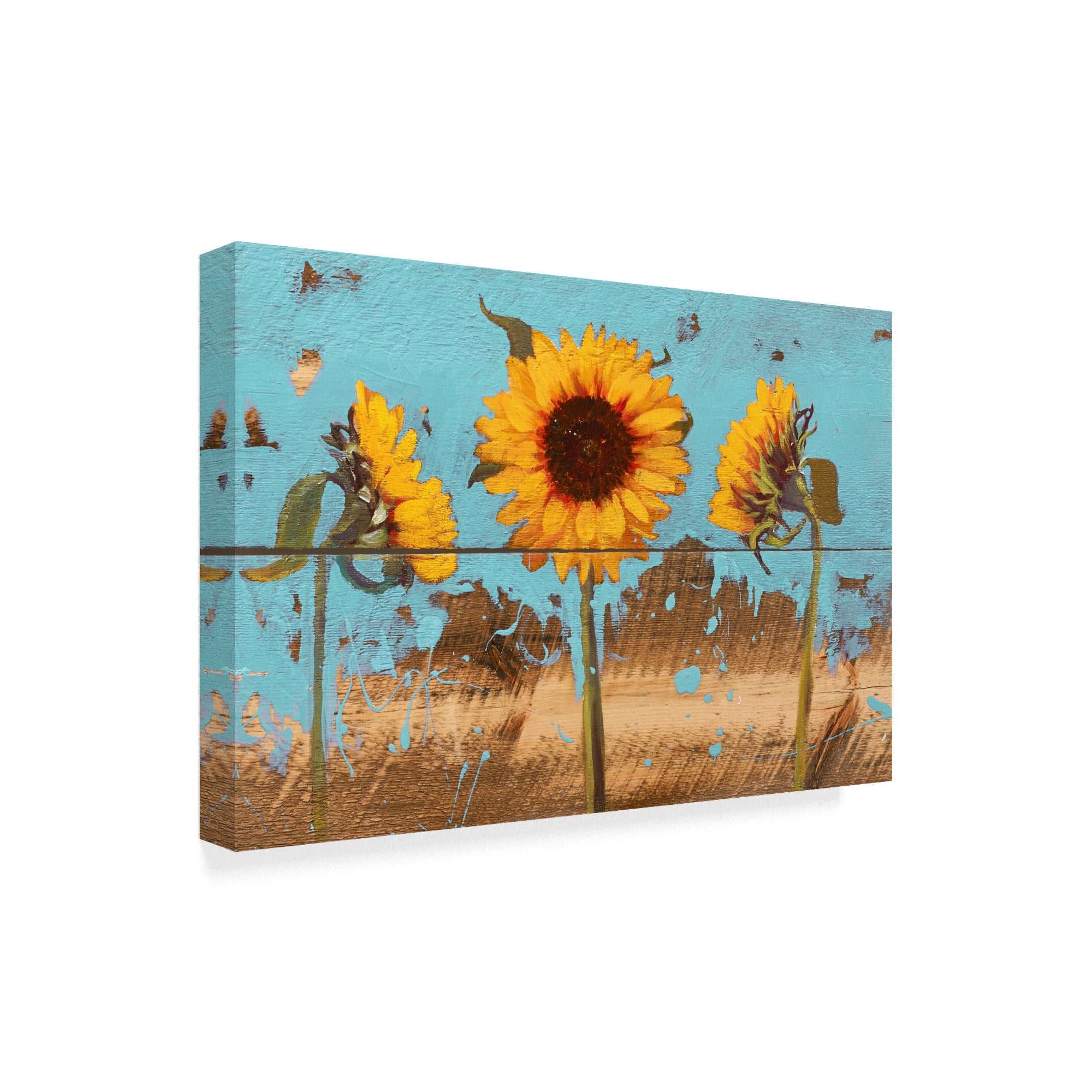 Trademark Fine Art 'Sunflowers on Wood IV' Canvas Art by Sandra Iafrate