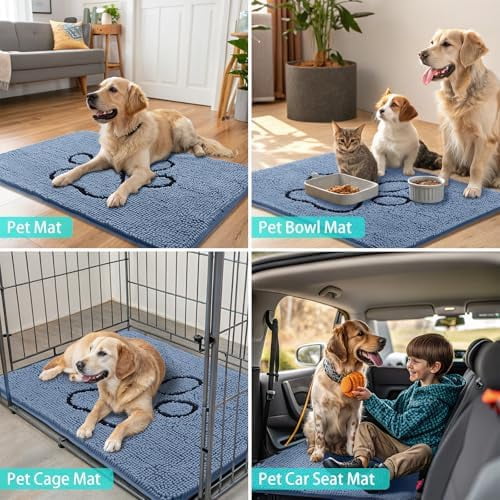 Dog Door Mat for Muddy Paws, Absorbent Dirt Trapper Non Slip Quick Dry Washable Chenille Mat for Mud Dogs, Entry Rug for Indoor and Outdoor (36x24 Inches, Airy Blue and Black)