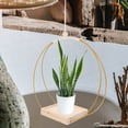 thumbnail image 6 of IFANLANDOR 1 Set Golden Hanging Planters for Outdoor Use 11.8x11.8x4.9in, 6 of 8