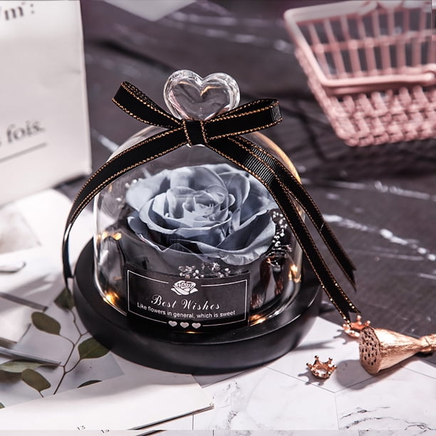 Flores secas de Navidad para el Día de San Valentín para decoración del hogar, regalos de boda, flores secas, decoración eterna para el hogar de rosas reales con LED en vidrio Wmkox8yii gf7538