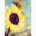 thumbnail image 3 of CafePress - Romantic Summer Watercolor Sunflowe Greeting Cards - Greeting Cards (Pk of 10) Matte, 3 of 4