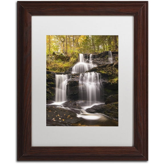 Trademark Fine Art 'Autumn Horsetails' Canvas Art by Michael Blanchette Photography, White Matte, Wood Frame