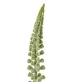 thumbnail image 3 of Hill Interiors Eremurus Stem Artificial Plant, 3 of 4