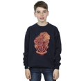 thumbnail image 2 of Harry Potter Boys Gryffindor Sketch Crest Sweatshirt, 2 of 3
