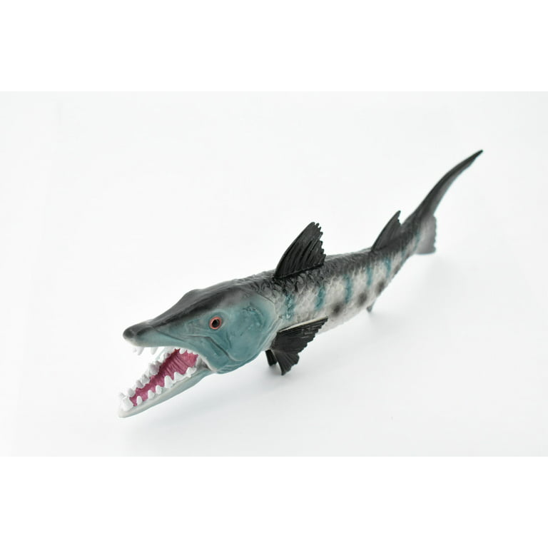 Fish, Barracuda, Anarrhichtys Ocellaus, Museum Quality, Hand Painted,  Rubber Fish, Realistic Toy Figure, Model, Replica, Kids, Educational, Gift,  10 CH382 BB143 