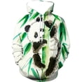 thumbnail image 5 of Sudadera con capucha con estampado 3D de panda para hombre, unisex, informal, de manga larga, de gran tamaño, chándal, 5 of 5