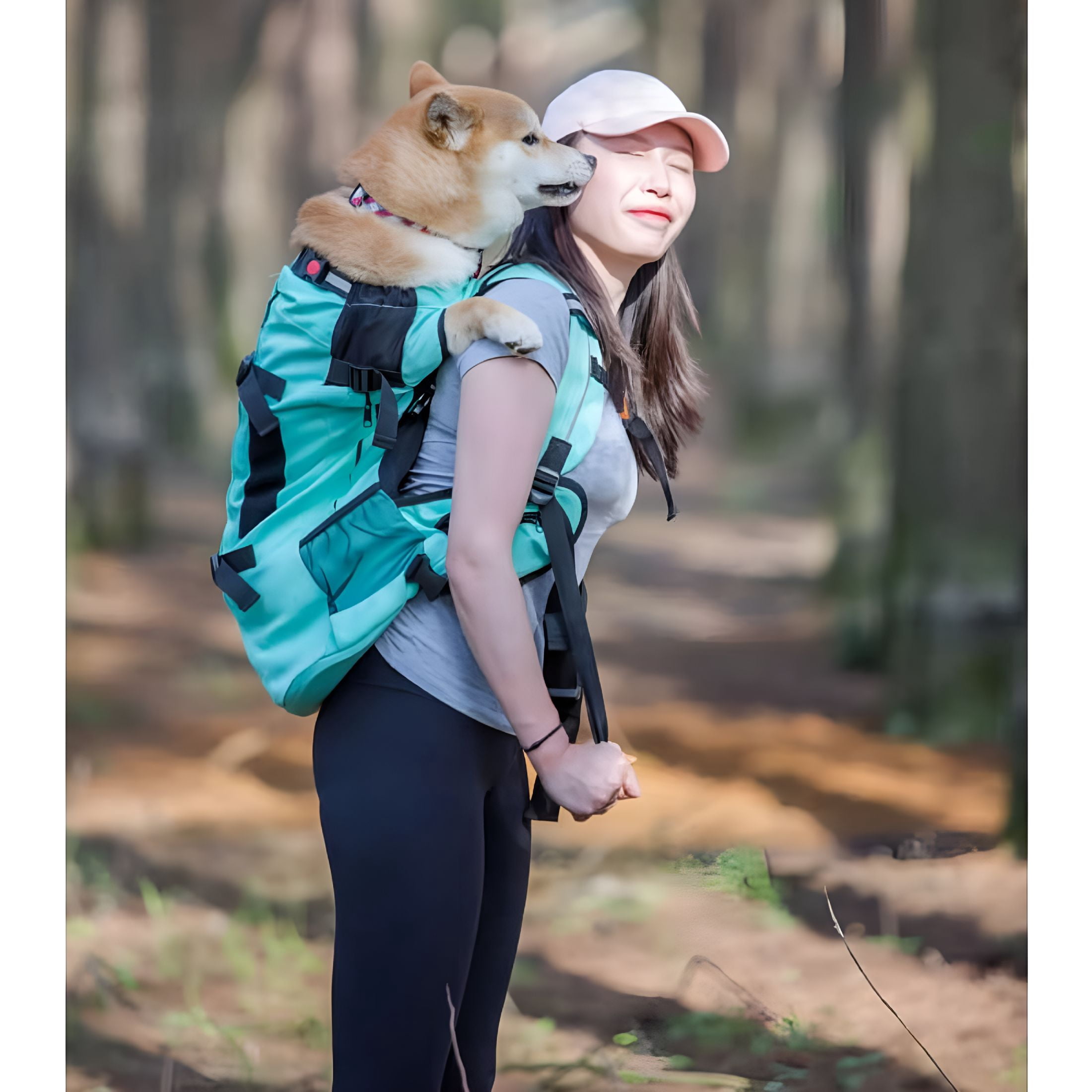GASTROPOD Puppy Carrier Bag Reflective Breathable Pet Backpack for Corgi Bulldog Large Dogs Adjustable Outdoor Hiking Dog Travel Bag (Lake green, L)