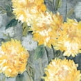 thumbnail image 3 of Robinson, Carol 12x12 Black Modern Framed Museum Art Print Titled - Yellow Mums, 3 of 5