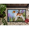 thumbnail image 3 of Carolines Treasures SS8663JMAT Tapis d'Intérieur Ou d'Extérieur 24 x 36 Po, 3 of 4