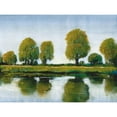 thumbnail image 3 of OToole, Tim 24x19 Black Modern Framed Museum Art Print Titled - River Reflections I, 3 of 5