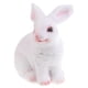 thumbnail image 1 of Escultura Animal DYNWAVEMX Estatuas Conejo 15.5x13.5cm Blanco, 1 of 5