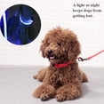 thumbnail image 5 of Safety Pet Dog LED Collar Night Flashing Light Up Adjustable Waterproof S-XL, 5 of 14