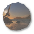 thumbnail image 1 of Ocean Eagle Science Nature Picture Round Throw Pillow Home Decoration Cushion, 1 of 3