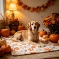thumbnail image 5 of ShaoXinWan Fall Pumpkin Flannel Throw Blanket, Floral Maple Leaf Print Soft Decorative Blanket, Warm Seasonal Throw for Sofa Couch Living Room Thanksgiving Home Decor, 5 of 6