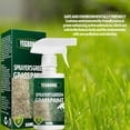 thumbnail image 2 of Green Grass Paint Spray Long Lasting Turf Paint Enhance Patchy Dormant Yellowing Grasses For Grass Turf New, 2 of 8