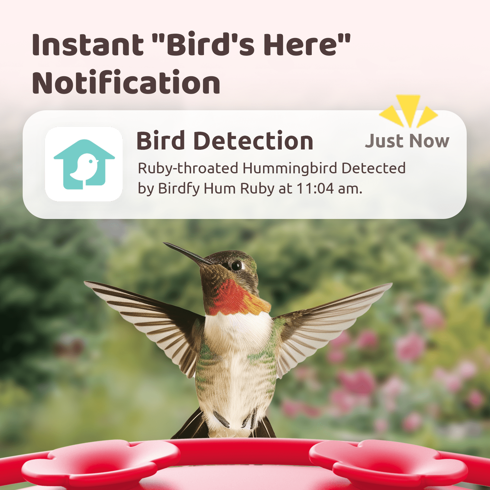 Birdfy Humming Bird Feeder with Camera, 1080P FHD Hummingbird Feeder Camera with Ant Moat, AI Identify Bird Species, Ideal Gift