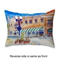 thumbnail image 4 of Betsy Drake NC962 16 x 20 Po Rue Canal Oreiller Sans Cordon, 4 of 4