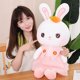 thumbnail image 2 of 2022 Cute / Soft / Bunny Plush Toys / Bunny Dolls with Carrot Hair Clips In Skirts / Children's Birthday Giftspurple40cm Deng Xun unisex, 2 of 2