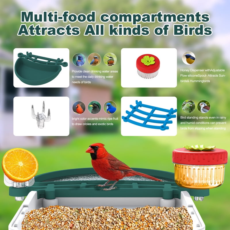 4k Smart Bird Feeder with Camera, Build-in 32GB SD Card & Solar Powered, 5MP Security Camera Al ldentify 10000+ Birds Color Night Vision & Real-Time App Alerts DlY Add-ons for Bird Watching