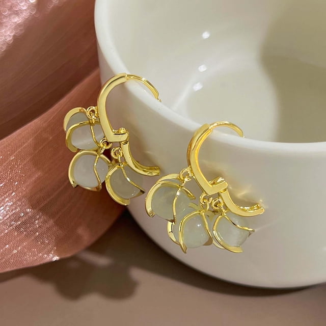 EGNMCR Exquisite And Unique Temperament, Refreshing Design Earrings For Women Opal Earrings A Earing