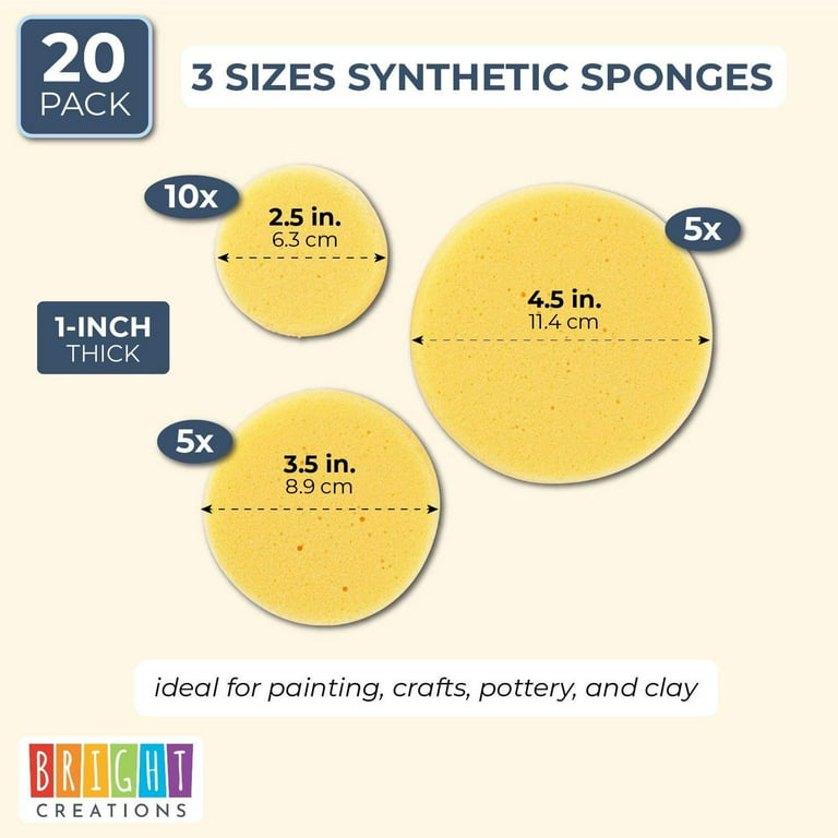 Sponge Synthetic Oval - The Ceramic Shop